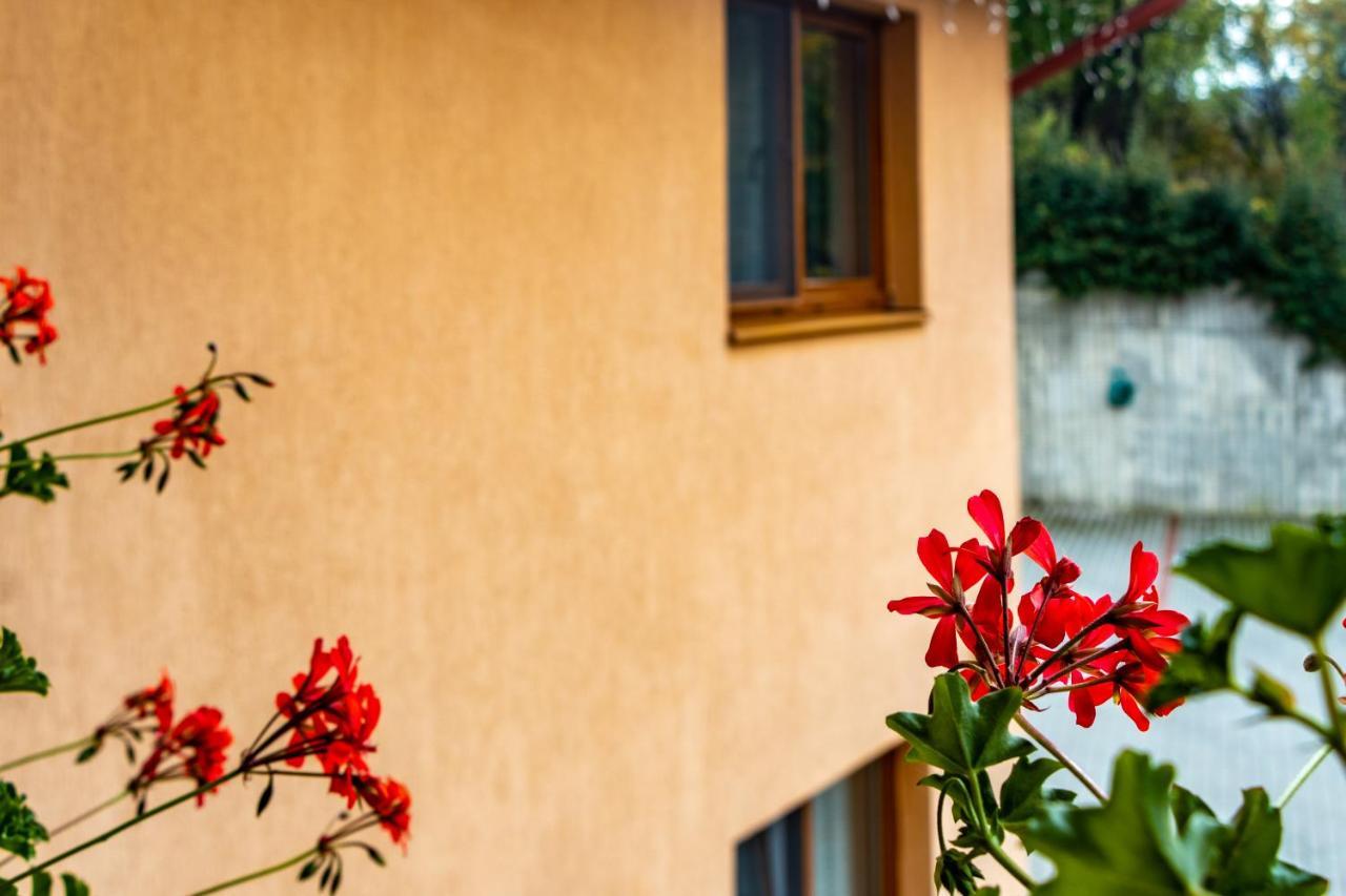 Casa Tofi Vendégház Praid Esterno foto